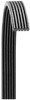 Dayco 6080533 Serpentine Belt POLY RIB BELT, DAYCO