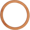 Cummins 3902425 Seal Ring / Washer Seal Ring / Washer