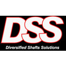 DIVERSIFIED SHAFTS SOLUTIONS, INC. (DSS)