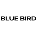 BLUE BIRD