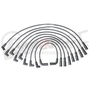 900-1436 by WALKER PRODUCTS - ThunderCore-Ultra 900-1436 Spark Plug Wire Set