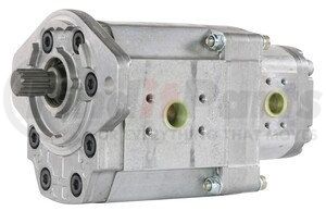 M1AAN3050HA2010HL30A02N by HPI HYDROPERFECT INTL - HYDRAULIC TANDEM GEAR MOTOR