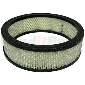 ECOGARD XA3195 Engine Air Filter Air Filter