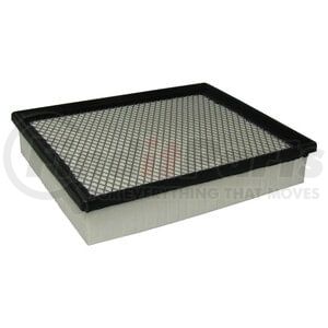 XA5315 by ECOGARD - AIR FILTER