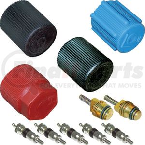 MT2920 by OMEGA ENVIRONMENTAL TECHNOLOGIES - A/C System Valve Core and Cap Kit