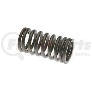 SK198A by RELIANCE POWER PRODUCTS - Valve Spring