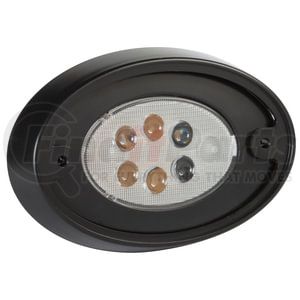 61851 by GROTE - LED Compartment Lights, Clear, Push Lens for On/Off