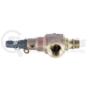 6010DCM01-KM-115 by EMERSON - PRESSURE RELIEF VALVE 115PSI 1/2MNPT X 3/4FNPT