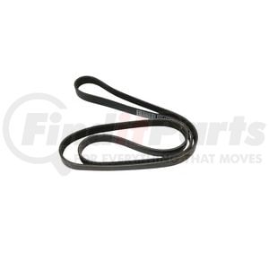 D84-1000-6061620 by PACCAR - BELT-POLY