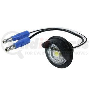 607213 by GROTE - LED LICENSE LAMP BULK