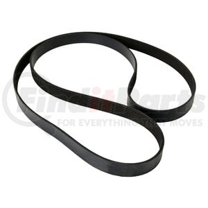 4070381F by CONTINENTAL AG - Automotive Multi-V Reinforced Belt