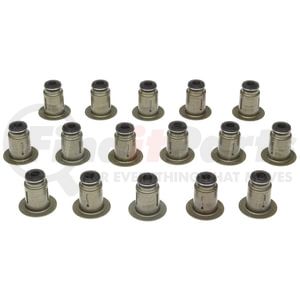 SS45952 by MAHLE - Engine Valve Stem Oil Seal Set