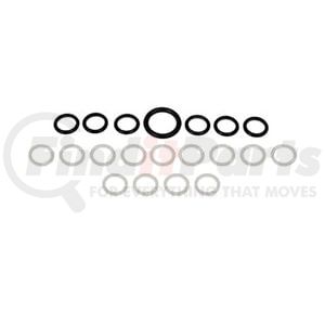 International 1842626C96 Oil Seal Oil Rail Seal Kit - High-Pressure, for DT466 / DT466E / HT570 Diesel Engines