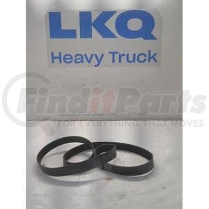 4149404C1 by INTERNATIONAL - V-Ribbed Belts - 12PK 2410M, Navistar Compatible