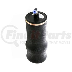 ABSZ70-7208 by AUTOMANN - Air Spring Seat