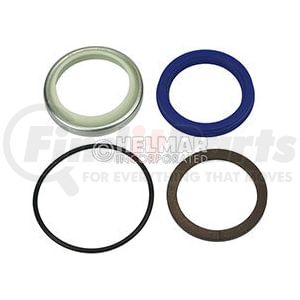 58299-24H00 by HELMAR FORKLIFT PARTS - Lift Cylinder Overhaul Seal Kit - fits Center Cylinder On Dual Stage Mast