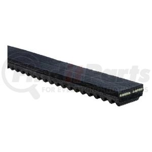 BX42 by NAPA - V-Belt - Classical Section, Molded Notch, BX, 21/32" x 45", Ethylene (EPDM), Polyester