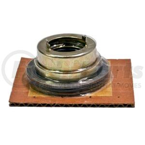 331655 by BLACKMER - Blackmer Mechanical Seal X2