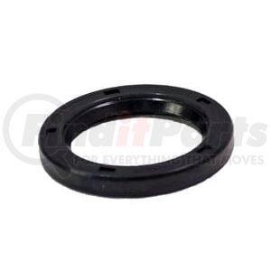 331908 by BLACKMER - Grease Seals - For Positive Displacement & Sliding Vane Pumps