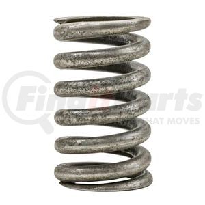 471807 by BLACKMER - Blackmer Relief Valve Spring TX