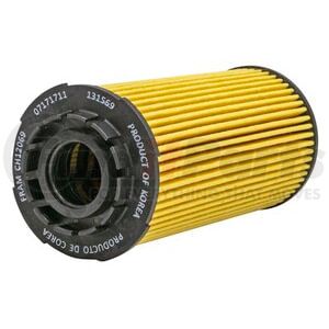 FRAM CH12069 Engine Oil Filter Element Full-Flow Lube Oil Filter