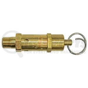 D&W RV2348 Air Tool Hose Safety Relief Valve Air Tool Hose Safety Relief Valve - Brass, 35 psi, NPT (Pipe), Male Connector