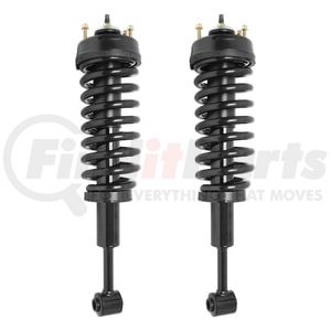 Unity Automotive 2-11850-001 Suspension Strut Assembly Kit Suspension Strut and Coil Spring Assembly Set