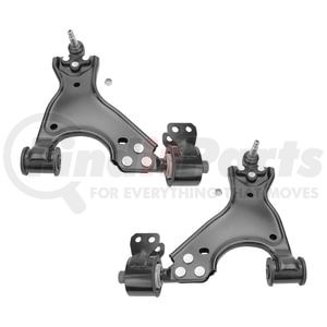 Unity Automotive 2C-CAB621232 Suspension Control Arm Kit Front Lower Control Arm Kit