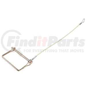 XB-11895-50 by SAF-HOLLAND - Pin and Lanyard