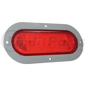 53592 by GROTE - "LED OVAL S,T,&