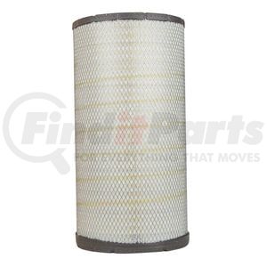 Fleetguard AF25248 Engine Air Filter Air Filter, Primary