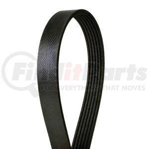 Continental AG 6 PK 1230 Serpentine Belt Automotive Metric Multi-V Belt