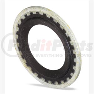 FJC, Inc. 4061 GM SEALING WASHER