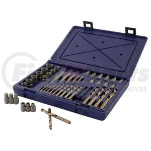 Hanson 3101010 48 Piece Master Extraction Set
