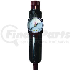 Reading Technologies (RTI) FR250G Filter/Regulator with Gauge, 1/4"