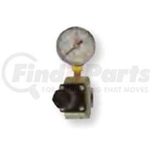 Reading Technologies (RTI) RG25 Air Tool Hose Regulator Regulator and Gauge Assembly, 1/4 in