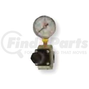 Reading Technologies (RTI) RG30 Air Tool Hose Regulator Regulator and Gauge Assembly, 3/8 in