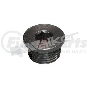 Walker Products 90-200 Oxygen Sensor Bung Plug Walker Products 90-200 O2 Bung Plug Mild Steel 18mm Threads