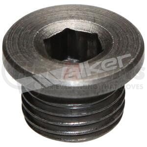 Walker Products 90-203 Oxygen Sensor Bung Plug Walker Products 90-203 O2 Bung Plug Mild Steel 12mm Threads