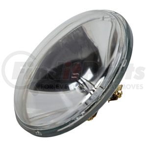 Wagner 4007 Multi-Purpose Light Bulb Wagner Lighting 4007 Standard Multi-Purpose Light Bulb Box of 1