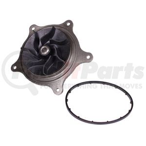 Alliant Power ap63584 Engine Water Pump Water Pump, Navistar MF DT/9/10, N9, N10