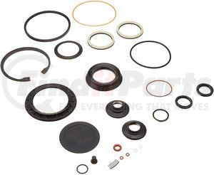 5545561 by SHEPPARD - Power Steering Gear Seal Kit (HD94)