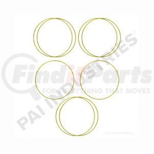 462030 by PAI - Cylinder Liner Shim Kit