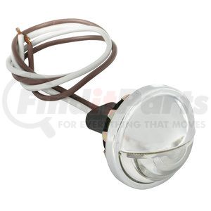 G6121 by GROTE - LED Compact Courtesy Light, Clear