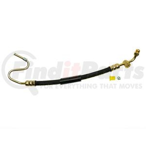 71851E by PLEWS - PS Hose