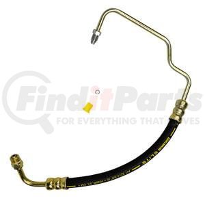 80319E by PLEWS - PS Hose