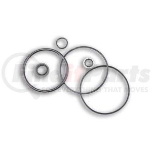 SK-1779 by APSCO - Hydraulic Cylinder Seal Kit - For use on C-6000 Series Tailgate Cylinders 3/4" Rod