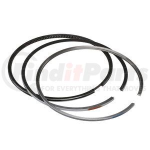 FP-3803961 by FP DIESEL - Engine Piston Ring Gasket Set