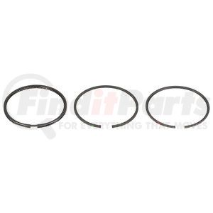 FP-684256 by FP DIESEL - Engine Piston Ring Set - Single Cylinder, Economy