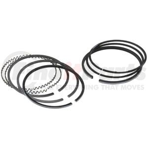 FP-8927223 by FP DIESEL - Engine Piston Ring Set - for single Cylinder